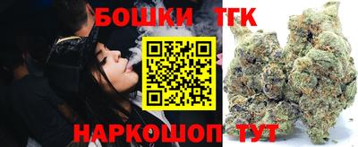 ешки Новодвинск