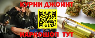 ешки Новодвинск