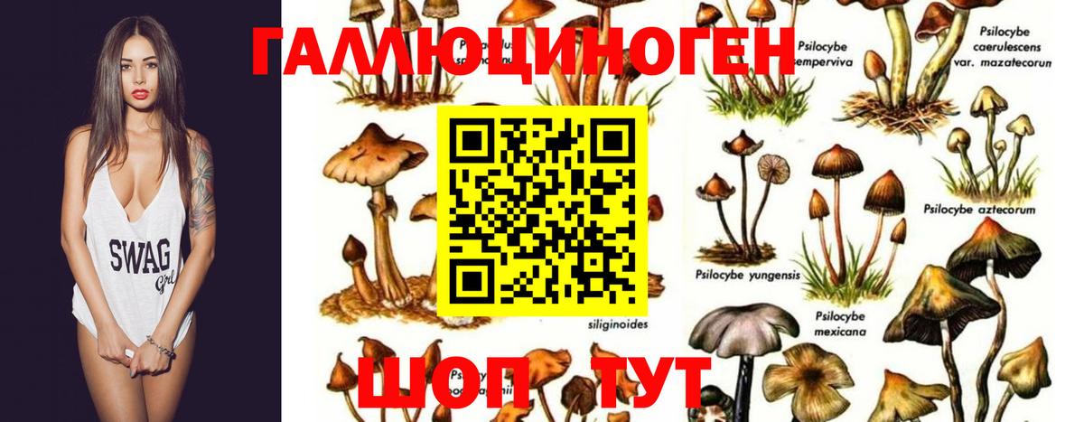 Псилоцибиновые грибы прущие грибы  Вход с VPN  Скопин 